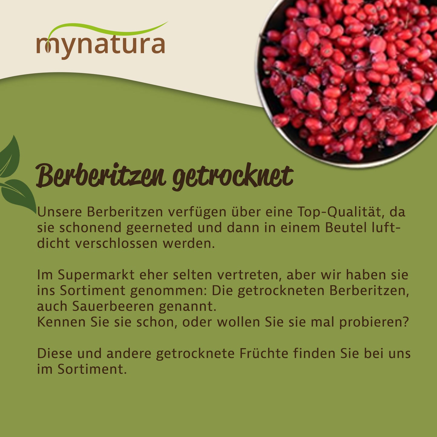Berberitzen getrocknet – im Beutel ab 1kg