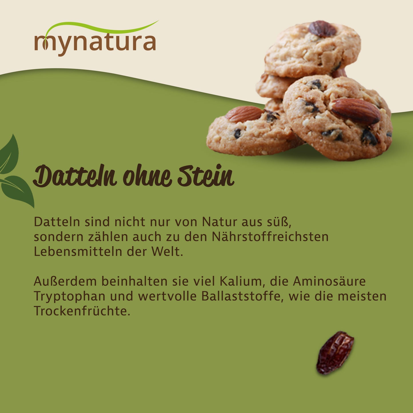 Getrocknete Datteln ohne Stein Deglet Nour - im Beutel ab 1kg