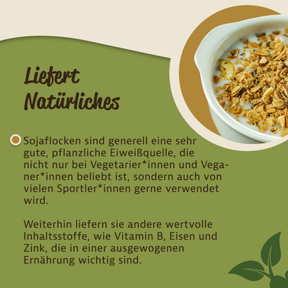Bio Sojaflocken - im Beutel ab 1kg