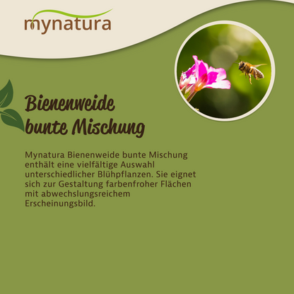 Mynatura Bienenweide Bunte Mischung - im Beutel 50g