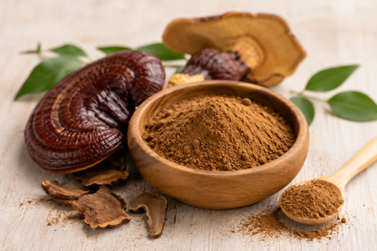 Bio Reishi Pulver - im Beutel ab 200g